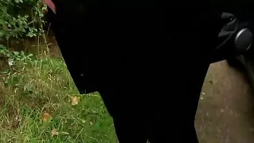 کٹر منظر کے ساتھ گرم ، شہوت انگیز زندگی کی طرف سے بہتر بنایا Asshole Fever