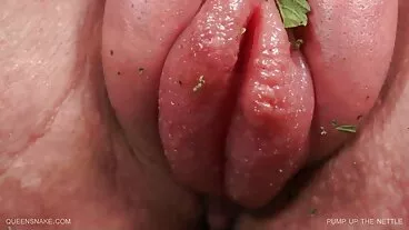 کی طرف سے آخر Brazzers se لونا