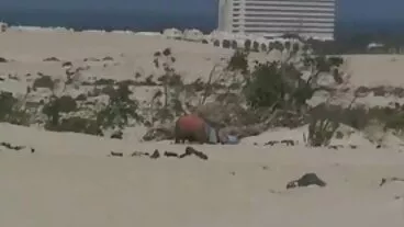 مشنری کے ساتھ فلم خوبصورت tush چڑھانا Ste